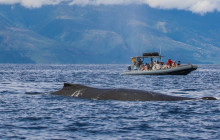 Hawaii Ocean Rafting31