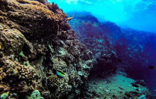 Hawaii Ocean Rafting19