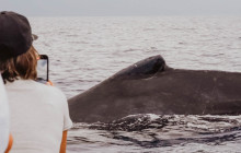 Hawaii Ocean Rafting26