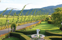 Beau Wine Tours10