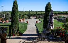 Beau Wine Tours13