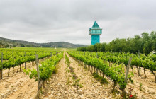 Beau Wine Tours15