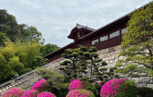 My Japan (Asageshiki Tour)5