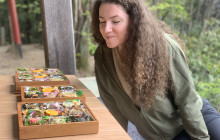 My Japan (Asageshiki Tour)1