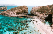 Sea Life Cruises2