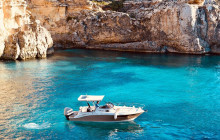 Sea Life Cruises1