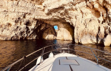 Sea Life Cruises14