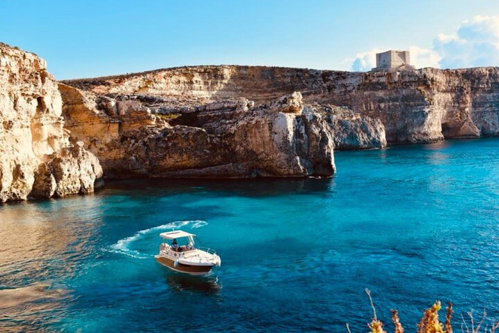 Sea Life Cruises