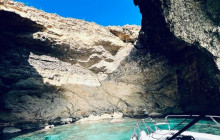 Sea Life Cruises11