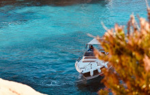 Sea Life Cruises12