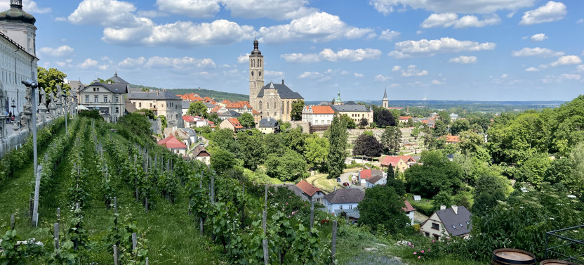 Private Day Trip to the Medieval Town of Kutná Hora