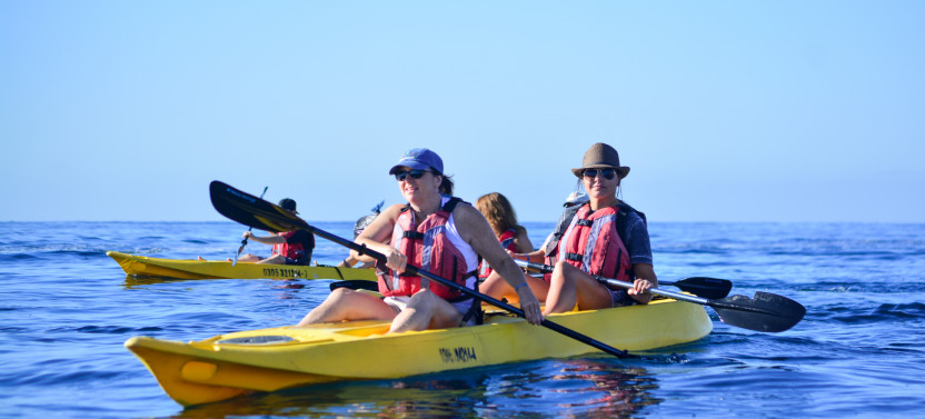 Glass Bottom Kayak & Snorkel At Two Bays