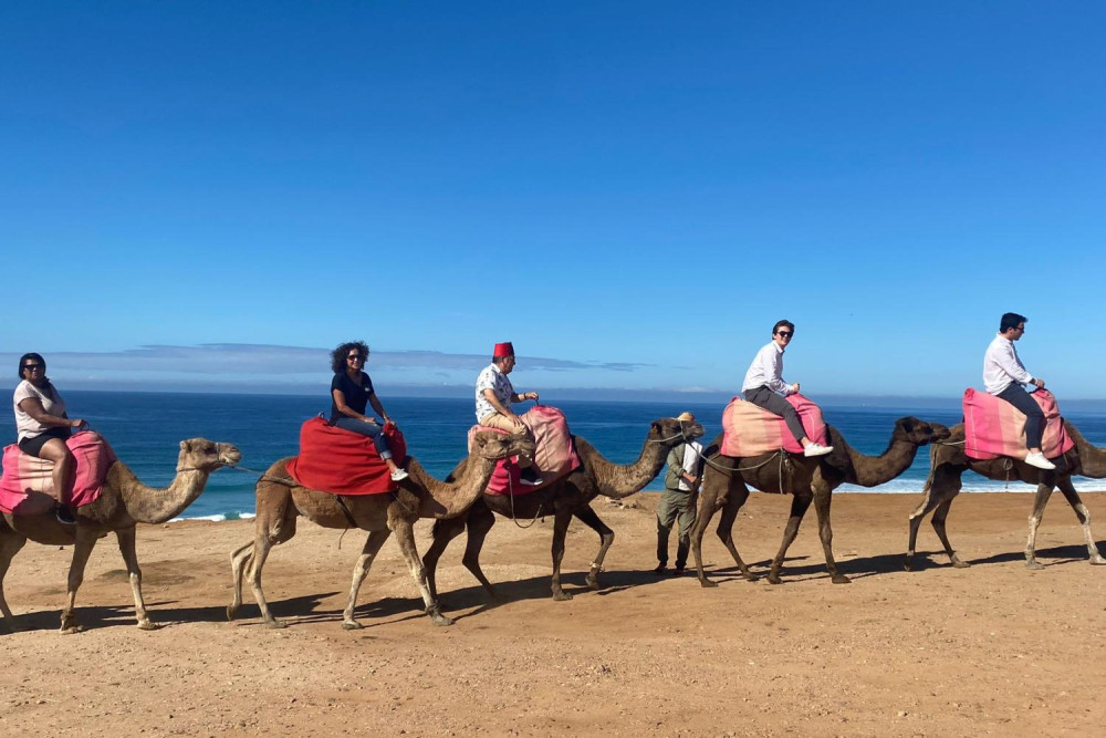 Guided Excursion to Tangier from Cádiz with Hotel Pickup