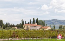Private Vineyards With Wine Tasting And Pairing Tour