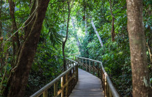 Greenway Nature Tours479