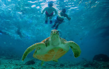 Cancun Adventures2