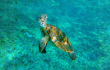 Cancun Adventures7