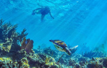 Cancun Adventures8