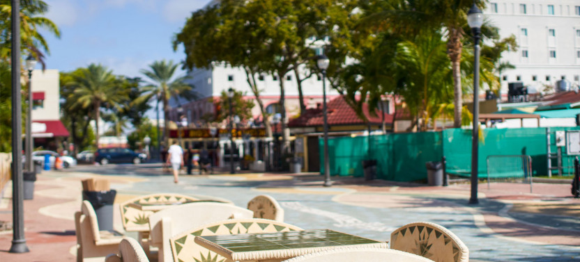 Best of Miami Tour + Everglades