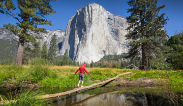 A picture of California National Parks 5-Day Tour from San Francisco