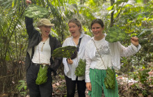 3D/2N - Peruvian Amazonia Nature Experience at Curuhuinsi Lodge