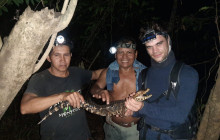 5D/4N - Peruvian Amazonia Nature Experience at Curuhuinsi Lodge
