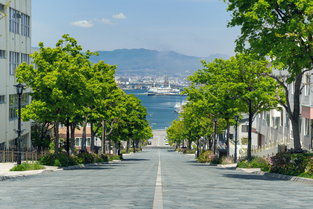 Private Hakodate Full-Day Tour by Chartered Vehicle