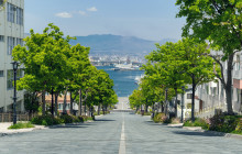 Beauty of Japan1