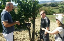 We Like Tuscany12