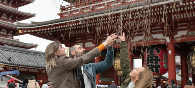 Top 10 Tokyo Highlights & Hidden Gems: Private Tour With A Local