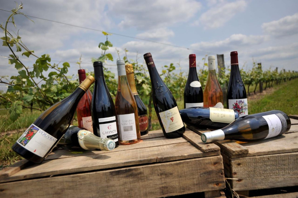 Loire Valley Wine Tour: Exploring Chinon & Bourgueil Vineyards