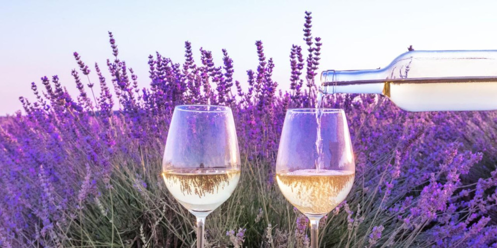 A Taste of Provence Wine Tour: A Small Group Half Day Vineyard Adventure