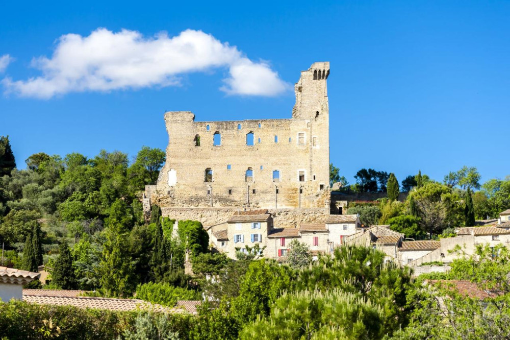 Châteauneuf-du-Pape Wine Tour: A Vineyard Encounter