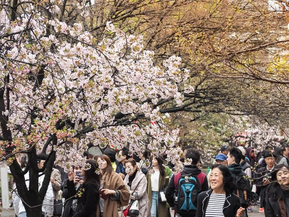 100% Personalized Osaka Private Food Tour By Local Foodies