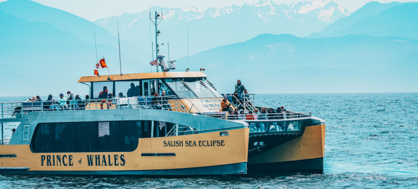 Half-Day Whale Watching from Vancouver - Free Photo Package