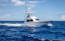 Apex Charters Inc.3