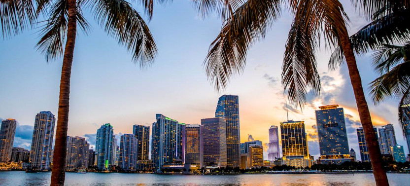 Best of Miami Tour With Cruise Port Pickup and Airport Drop-off