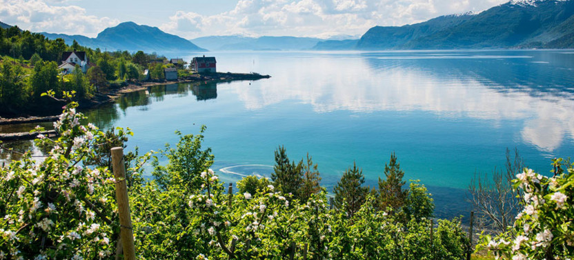 Private Guided Tour - Hardangerfjord & 4 Great Waterfalls