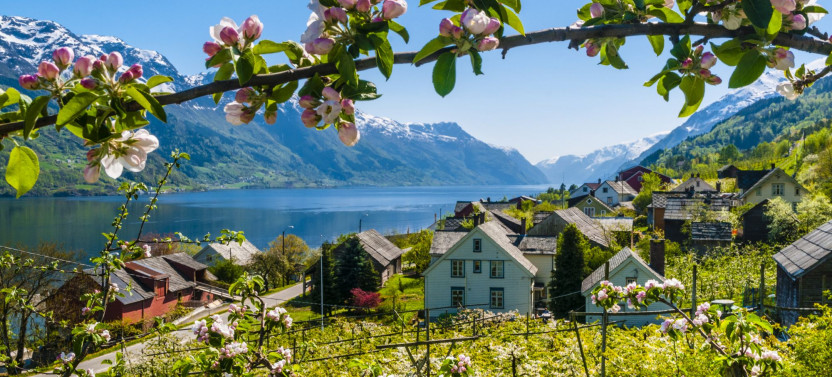 Private Guided Tour - Hardangerfjord & 4 Great Waterfalls