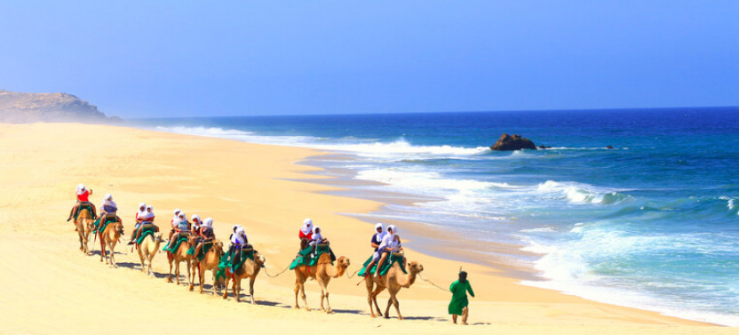 ATV and Camel Ride Combo