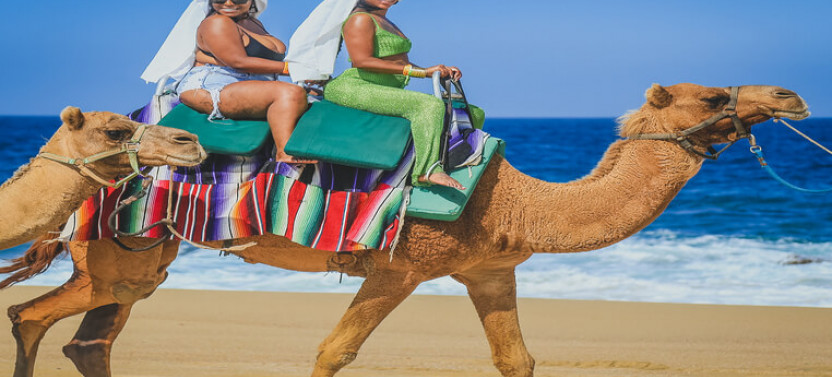 ATV and Camel Ride Combo