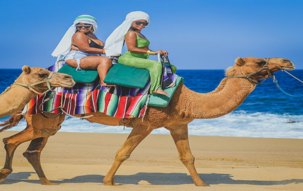 ATV and Camel Ride Combo - Cabo San Lucas | Project Expedition