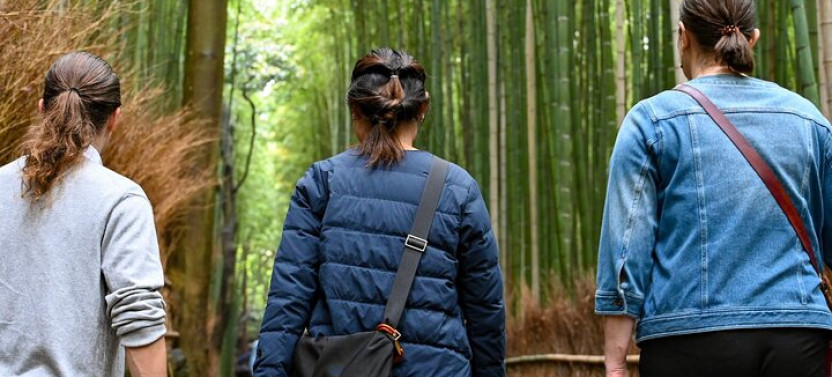 Arashiyama From Kyoto: Private & Personalized With A Local Guide