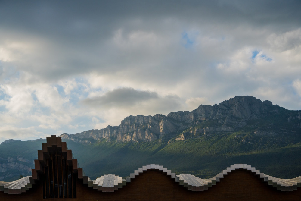 Rioja Uncorked: Tastings in 4 Wineries with Cold Food Pairing