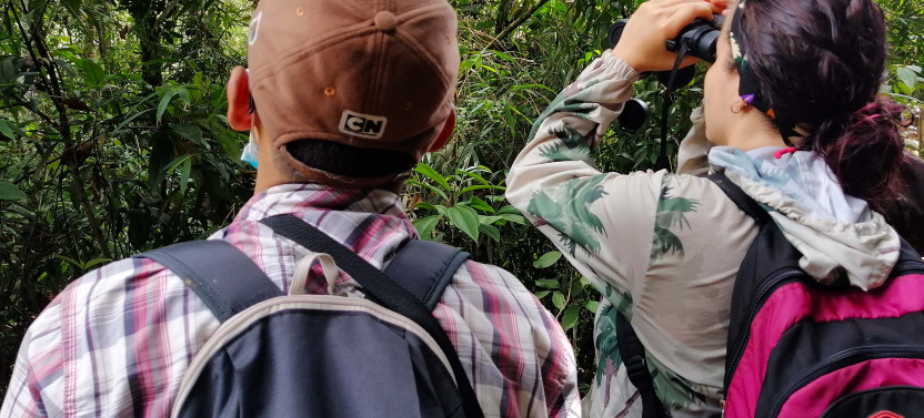 Bird Watching - Nature & Wildlife
