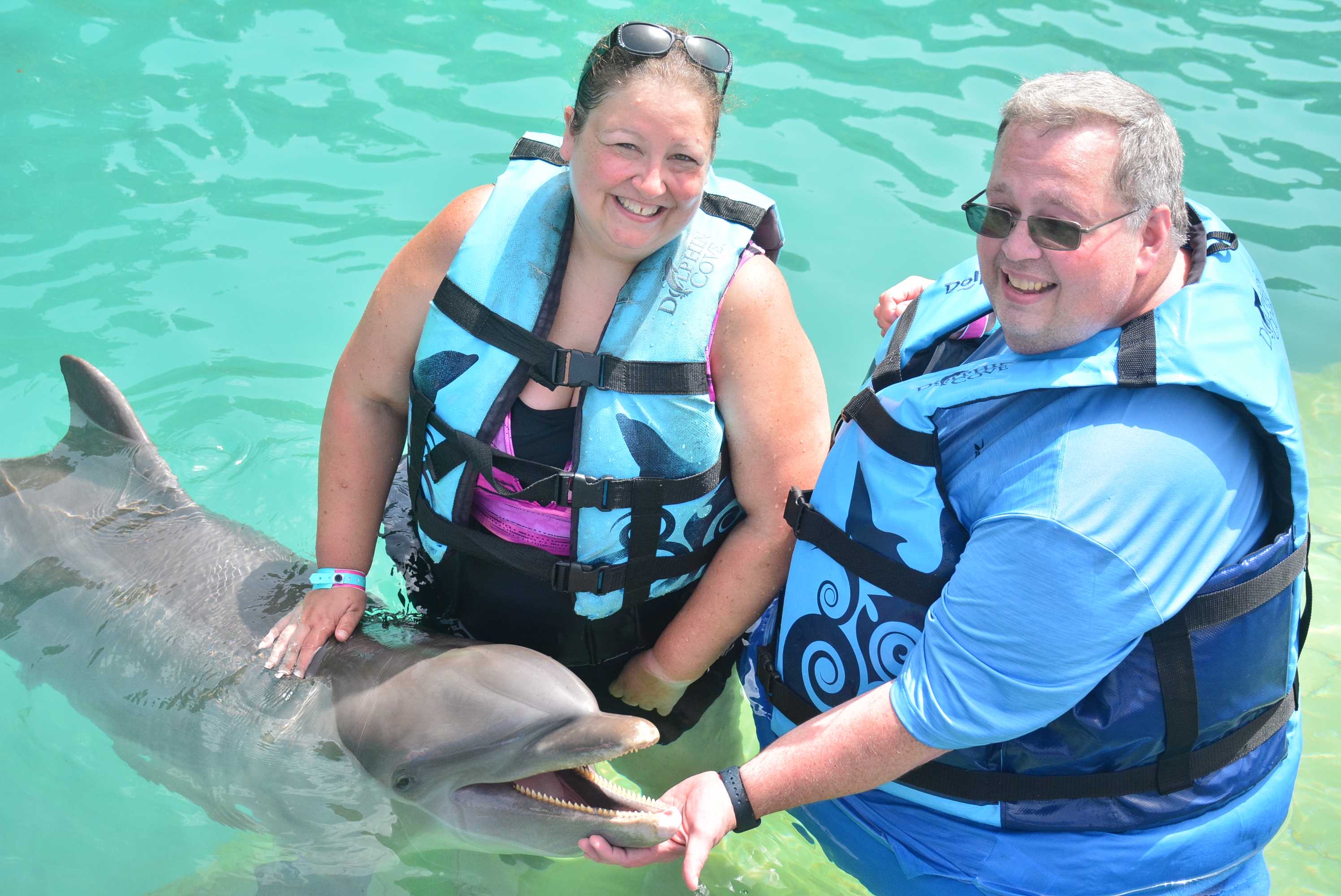 Dolphin Cove and Interactive Dolphin Pool