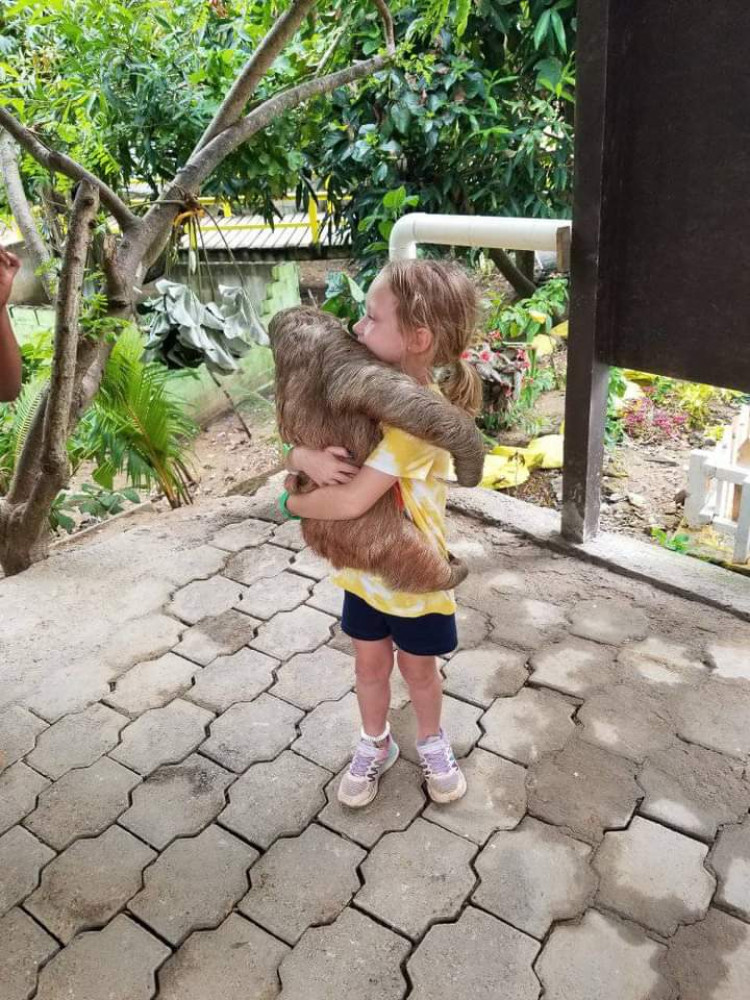 Half Day Adventure Zipline Sloth Park and West Bay Beach Break