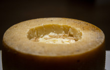 Disgusting Food Museum, S.L.1