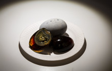 Disgusting Food Museum, S.L.5