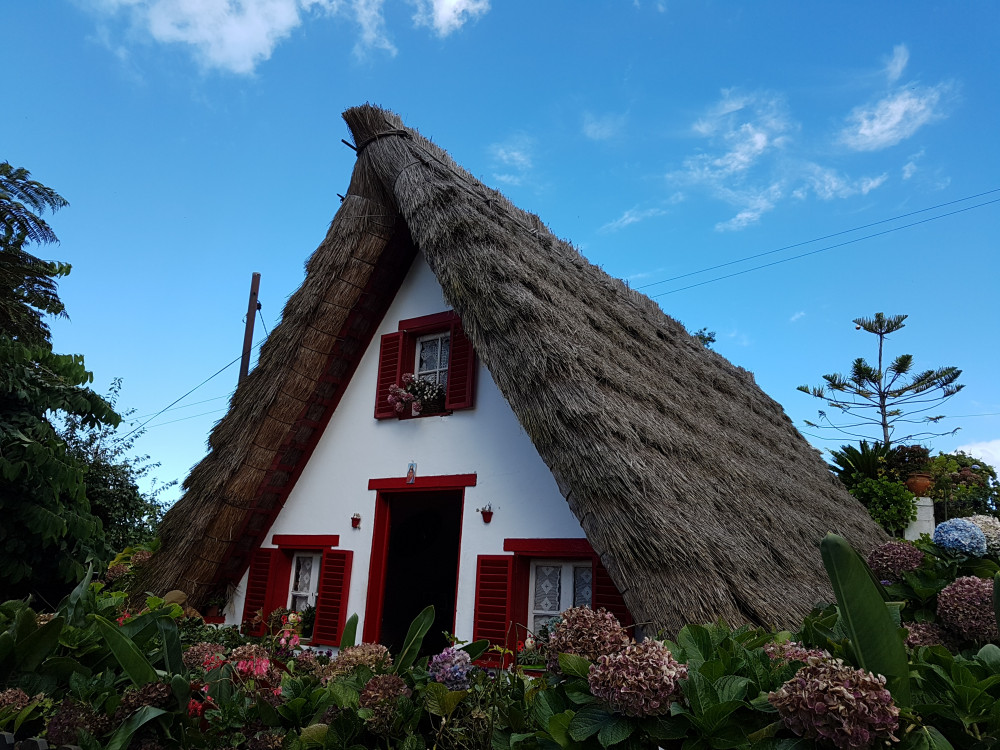 Madeira: Private Half-Day North East Island Tour